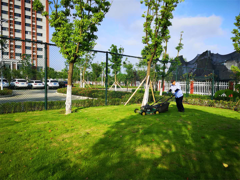 綠化養護-安中分校 -修剪推草