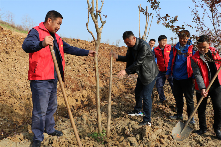 2021-3-12（義務(wù)值樹）