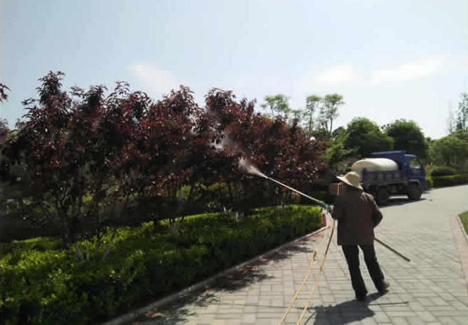 飛地公園草坪養(yǎng)護(hù)